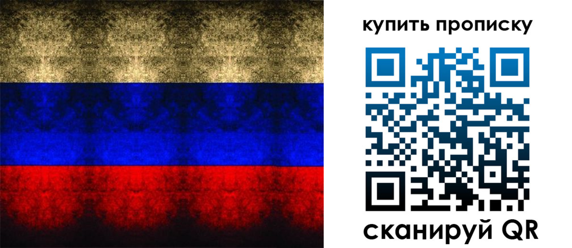 прописка в Белгородской области